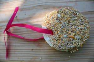 Rice Cake Bird Feeder