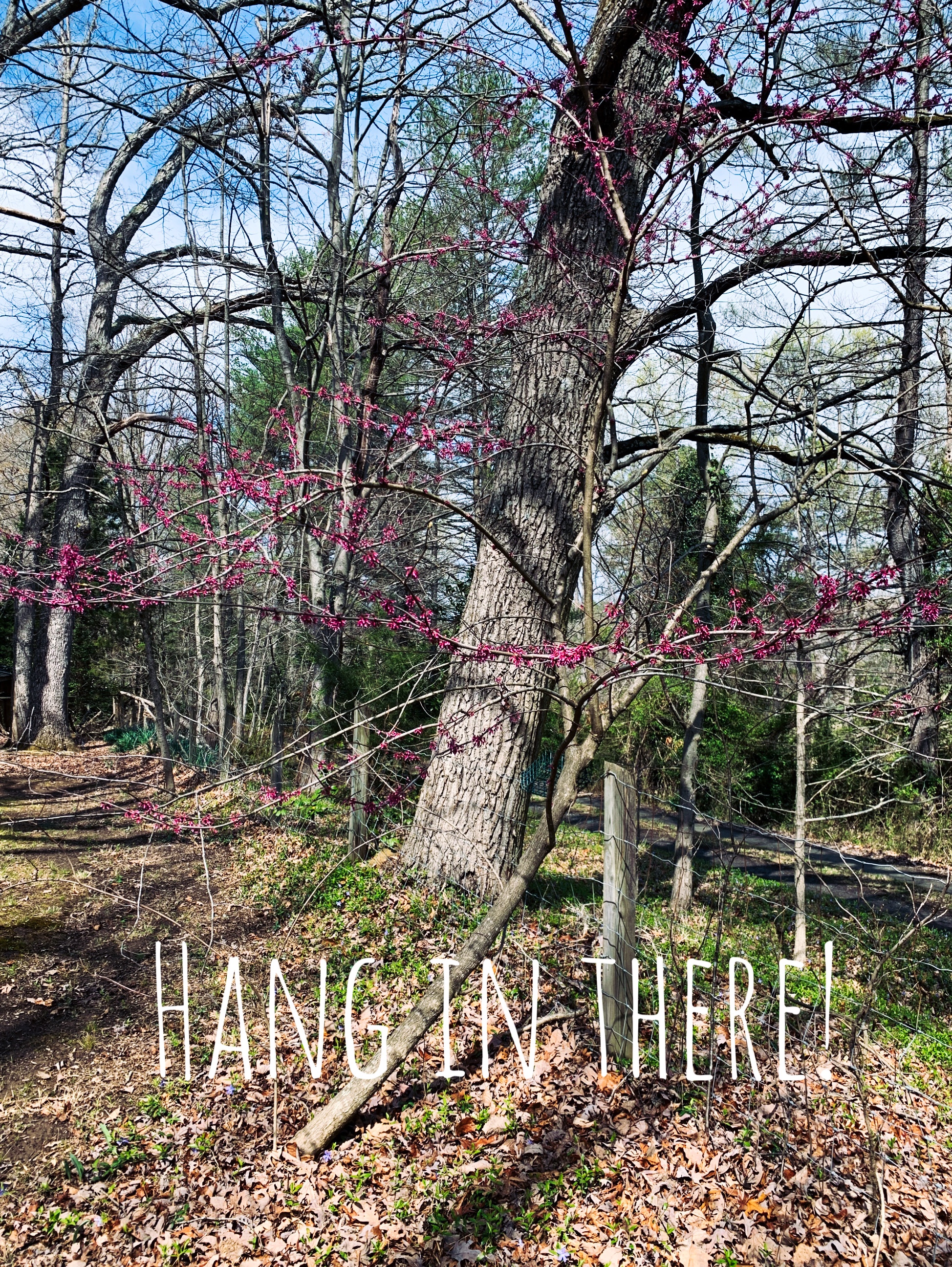 04b10ed3-060f-4e68-a45e-e8ce1f39ec8e